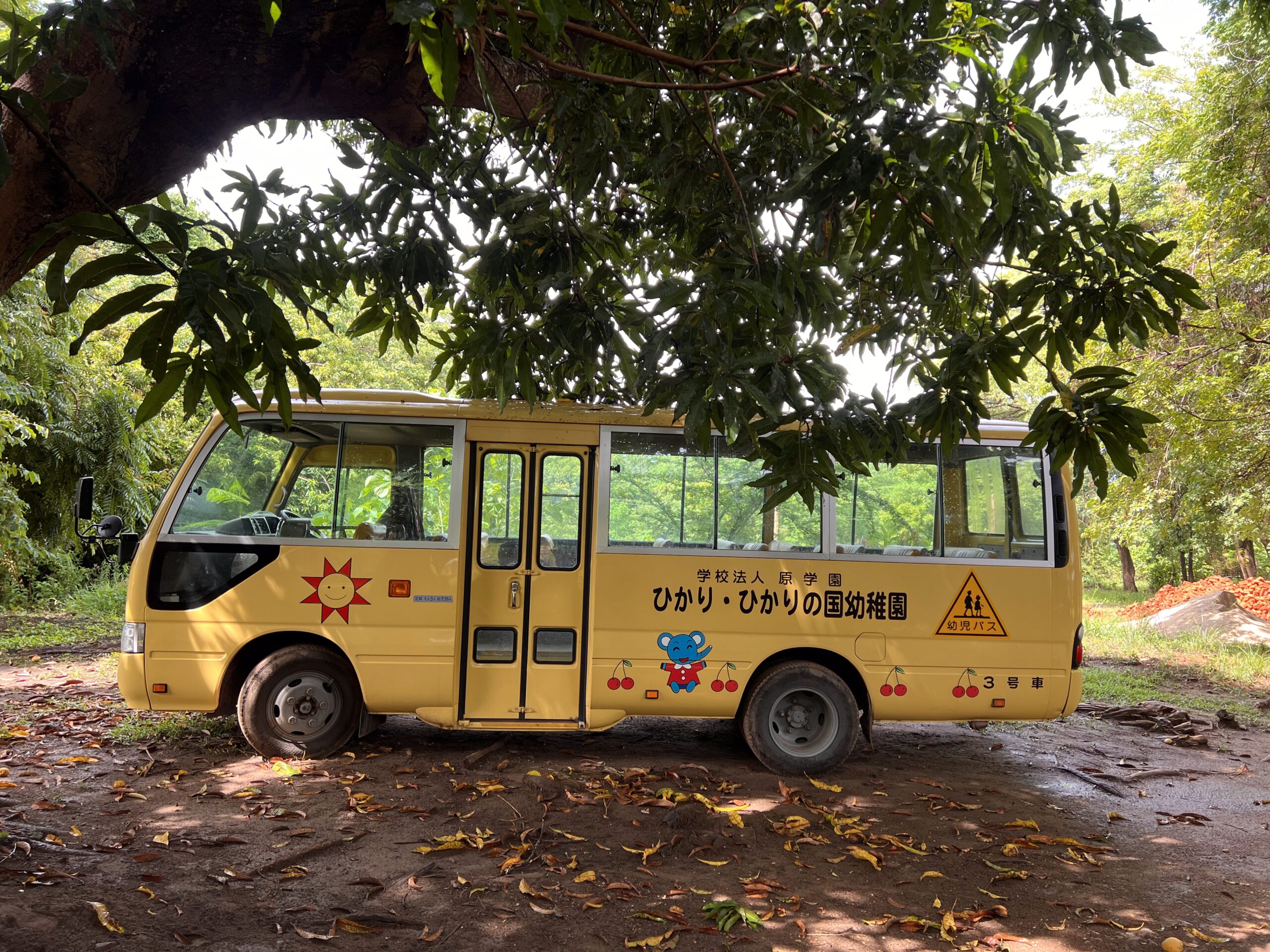 Bus Baum